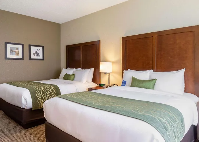 Comfort South - Woodland Hills 3*