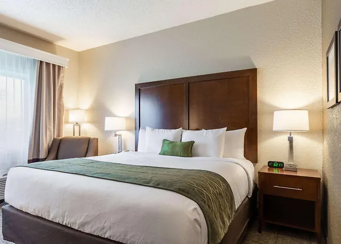Inn Comfort South - Woodland Hills